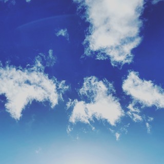 S__41123843.jpg