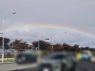 S__41123847.jpg